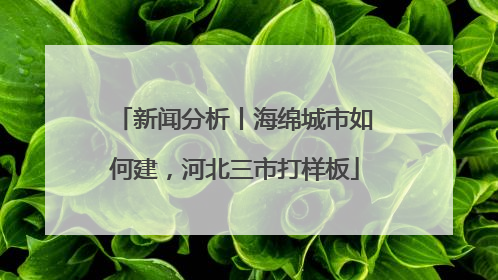 新闻分析丨海绵城市如何建，河北三市打样板