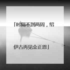 时隔不到两周，绍伊古再见金正恩
