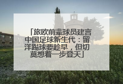 旅欧前辈球员建言中国足球新生代：留洋踢球要趁早，但切莫想着一步登天