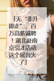 无“非升即走”、百万高薪诚聘！湖北赴南京引才活动这个展台火了