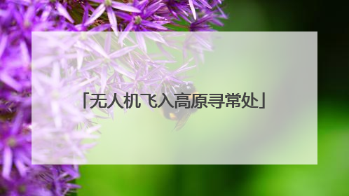 无人机飞入高原寻常处