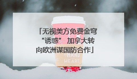 无视美方免费金穹“诱惑” 加拿大转向欧洲谋国防合作
