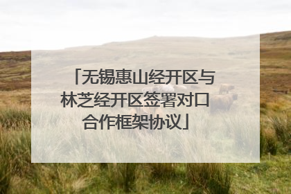 无锡惠山经开区与林芝经开区签署对口合作框架协议