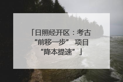 日照经开区：考古“前移一步” 项目“降本提速”