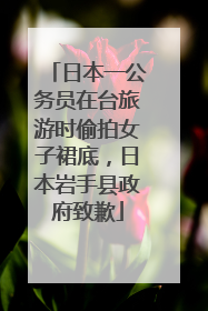 日本一公务员在台旅游时偷拍女子裙底，日本岩手县政府致歉