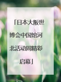 日本大阪世博会中国馆河北活动周精彩启幕