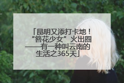 昆明又添打卡地！“簪花少女”火出圈——有一种叫云南的生活之365天