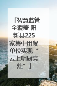 智慧监管全覆盖 阳新县225家集中用餐单位实现“云上明厨亮灶”