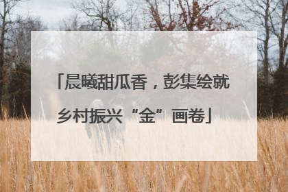 晨曦甜瓜香，彭集绘就乡村振兴“金”画卷