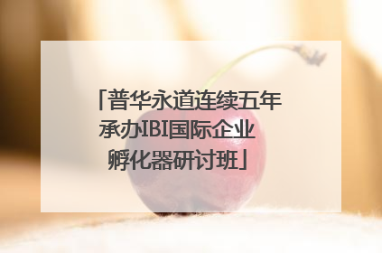 普华永道连续五年承办IBI国际企业孵化器研讨班