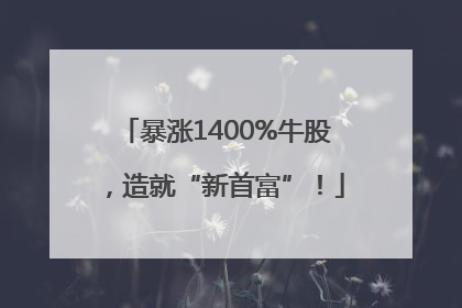 暴涨1400%牛股，造就“新首富”！