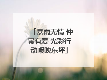 暴雨无情 仲景有爱 光彩行动暖映东坪
