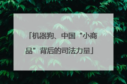 机器狗、中国“小商品”背后的司法力量