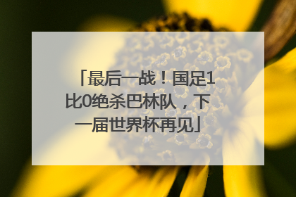 最后一战！国足1比0绝杀巴林队，下一届世界杯再见