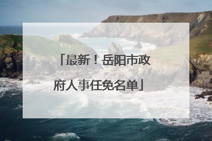 最新！岳阳市政府人事任免名单