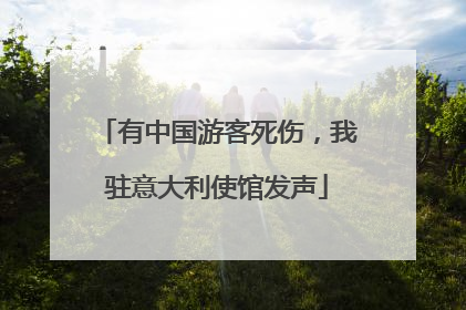 有中国游客死伤，我驻意大利使馆发声