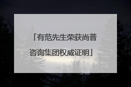 有范先生荣获尚普咨询集团权威证明