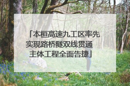 本桓高速九工区率先实现路桥隧双线贯通 主体工程全面告捷