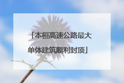 本桓高速公路最大单体建筑顺利封顶