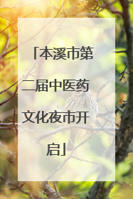 本溪市第二届中医药文化夜市开启