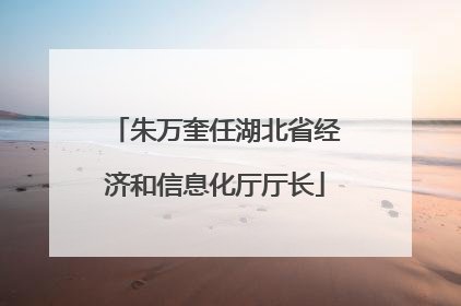 朱万奎任湖北省经济和信息化厅厅长