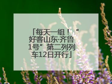 每天一组！“好客山东·齐鲁1号”第二列列车12日开行