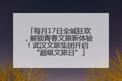 每月17日全城狂欢，解锁青春文旅新体验！武汉文旅集团开启 “超级文旅日”