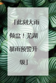 此刻大雨倾盆！芜湖暴雨预警升级