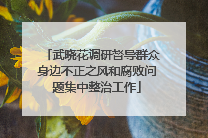 武晓花调研督导群众身边不正之风和腐败问题集中整治工作