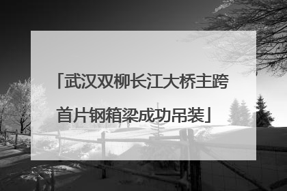 武汉双柳长江大桥主跨首片钢箱梁成功吊装