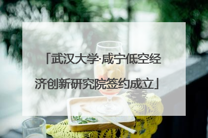 武汉大学·咸宁低空经济创新研究院签约成立