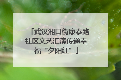 武汉湘口街康泰路社区文艺汇演传递幸福“夕阳红”