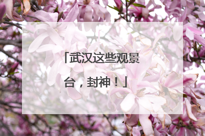 武汉这些观景台，封神！