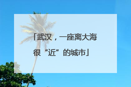 武汉，一座离大海很“近”的城市
