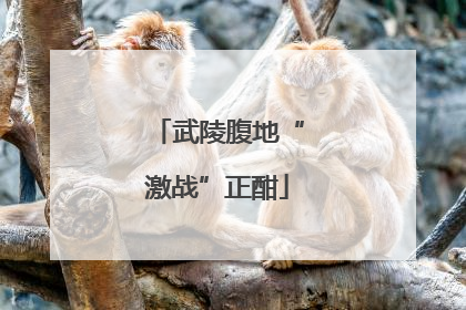 武陵腹地“激战”正酣