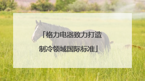 格力电器致力打造制冷领域国际标准