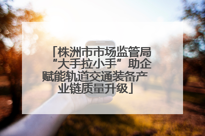 株洲市市场监管局“大手拉小手”助企赋能轨道交通装备产业链质量升级