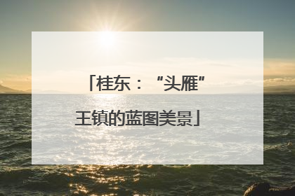 桂东：“头雁”王镇的蓝图美景