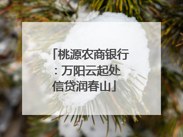 桃源农商银行：万阳云起处 信贷润春山
