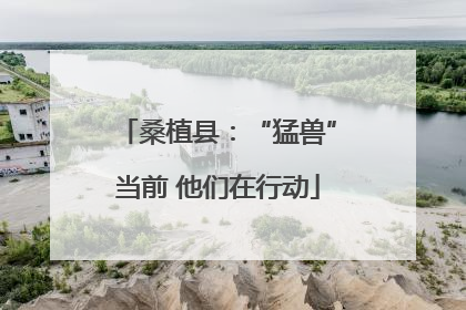 桑植县：“猛兽”当前 他们在行动