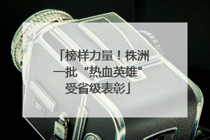 榜样力量！株洲一批“热血英雄”受省级表彰