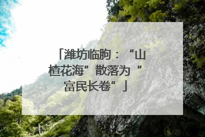 潍坊临朐：“山楂花海”散落为“富民长卷”