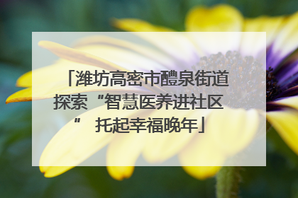 潍坊高密市醴泉街道探索“智慧医养进社区” 托起幸福晚年