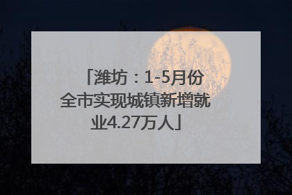 潍坊：1-5月份全市实现城镇新增就业4.27万人