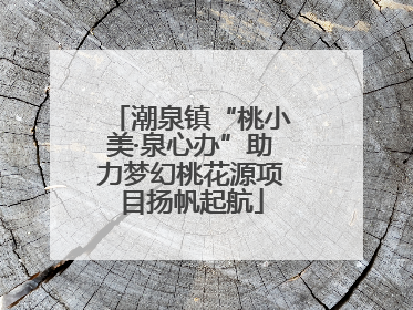 潮泉镇“桃小美·泉心办”助力梦幻桃花源项目扬帆起航