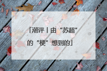潮评丨由“苏超”的“梗”想到的