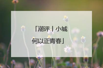 潮评丨小城何以正青春
