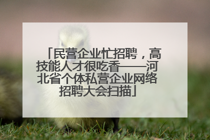 民营企业忙招聘，高技能人才很吃香——河北省个体私营企业网络招聘大会扫描