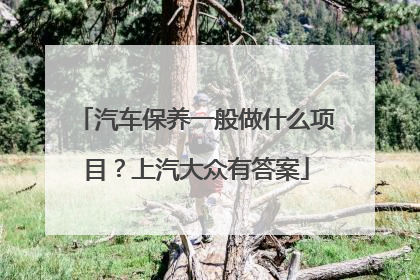 汽车保养一般做什么项目？上汽大众有答案