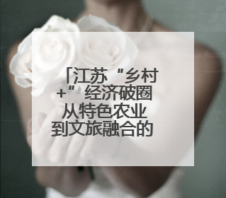 江苏“乡村+”经济破圈 从特色农业到文旅融合的多元实践